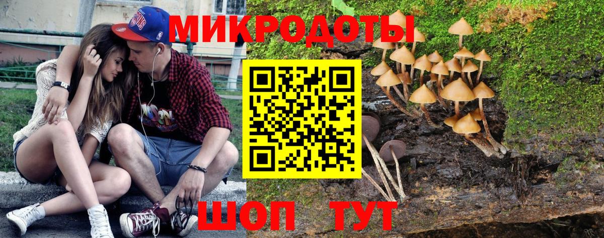 Галлюциногенные грибы Psilocybine cubensis Миасс